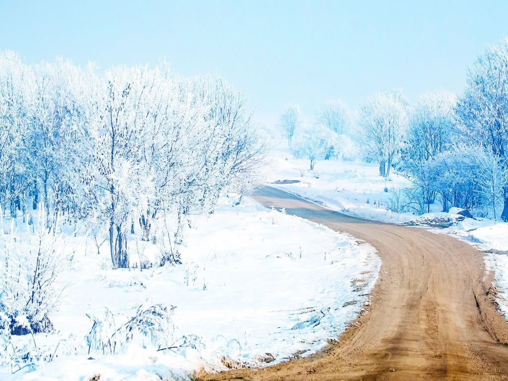 立即下载 ppt图片简介: 这是一款以雪景为主题的ppt浅色纹理背景图片