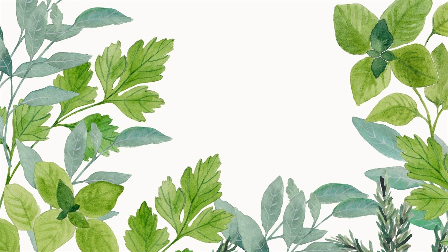 小清新绿色护眼植物_植物手机壁纸-壁纸族