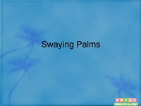 swayingpalms幻灯片背景图片