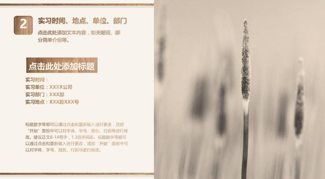 清新淡雅时尚毕业实习报告PPT模板