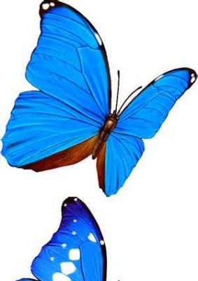蓝色蝴蝶pnd图片素材