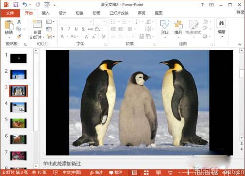 ppt2013如何制作简易的电子相册图片