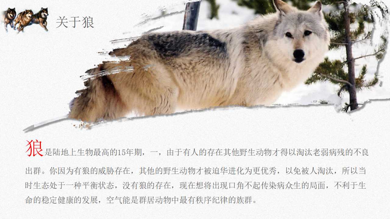 绩效管理和知识管理PPT课件三