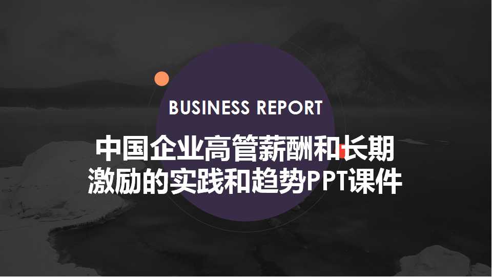 中国企业高管薪酬和长期激励的实践和趋势PPT课件