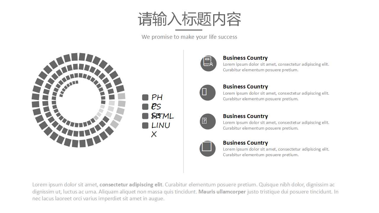 网络财务战略及成果PPT课件