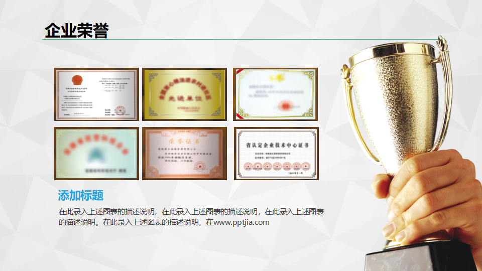 市场份额和价格分析PPT课件