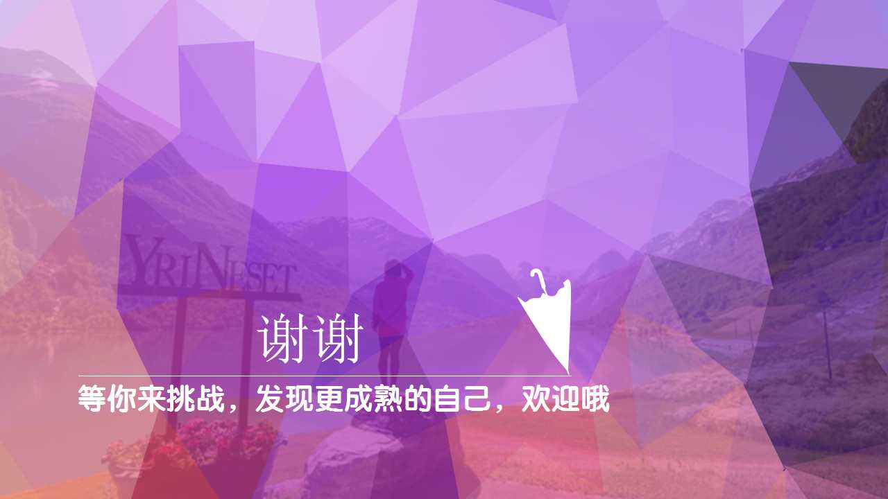 流通业的国际化议题PPT课件