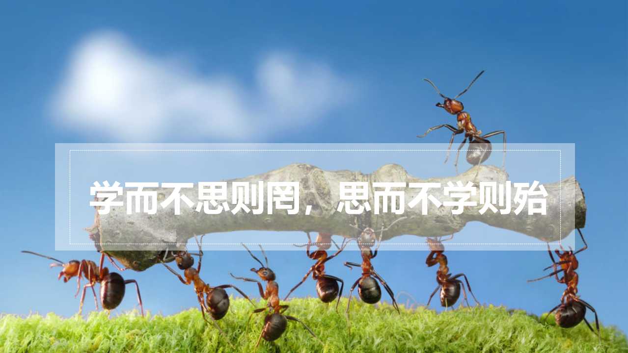 员工职业素质塑造PPT课件