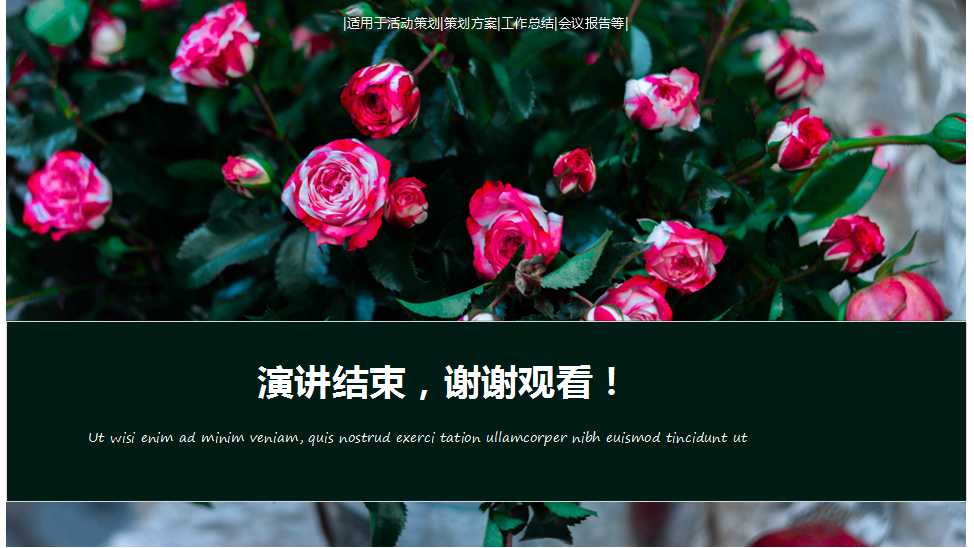 鲜艳的玫瑰花－植物PPT模板