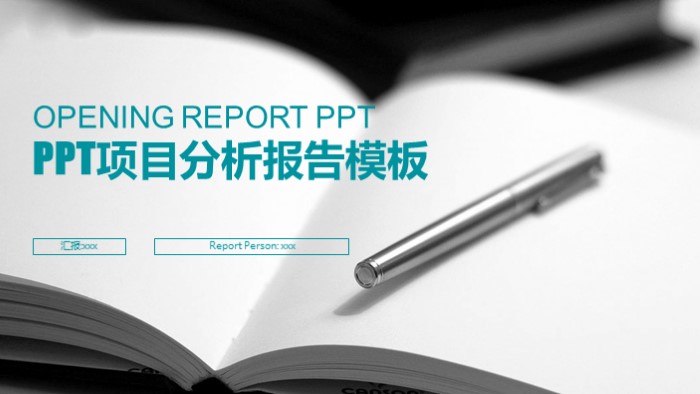 ppt项目分析报告模板