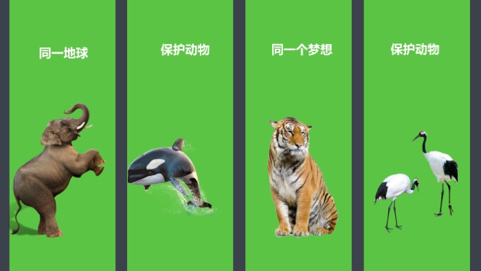保护动物海报ppt模板