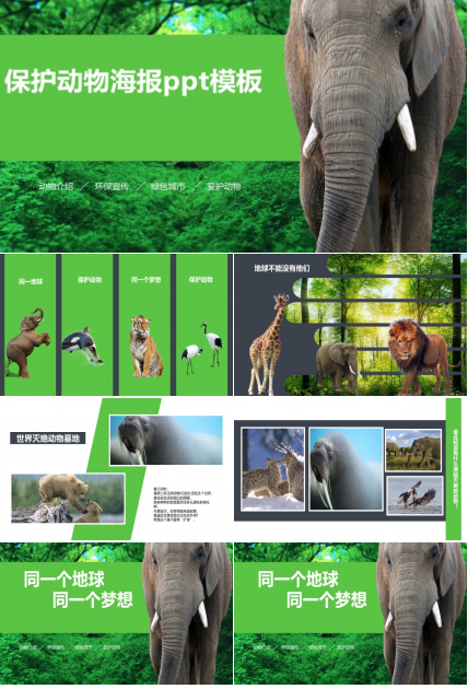 保护动物海报ppt模板