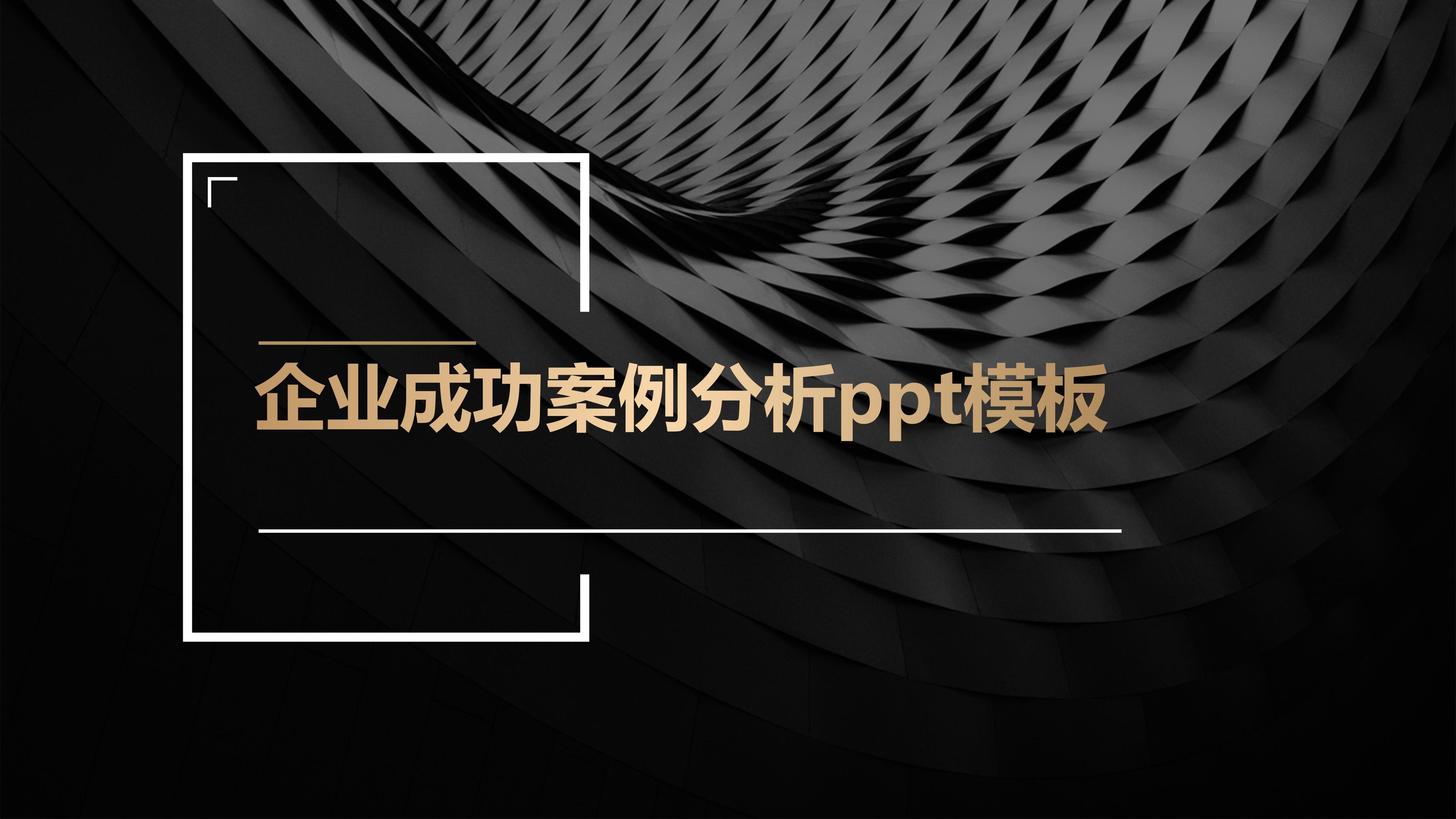 企业成功案例分析ppt模板下载-PPT家园