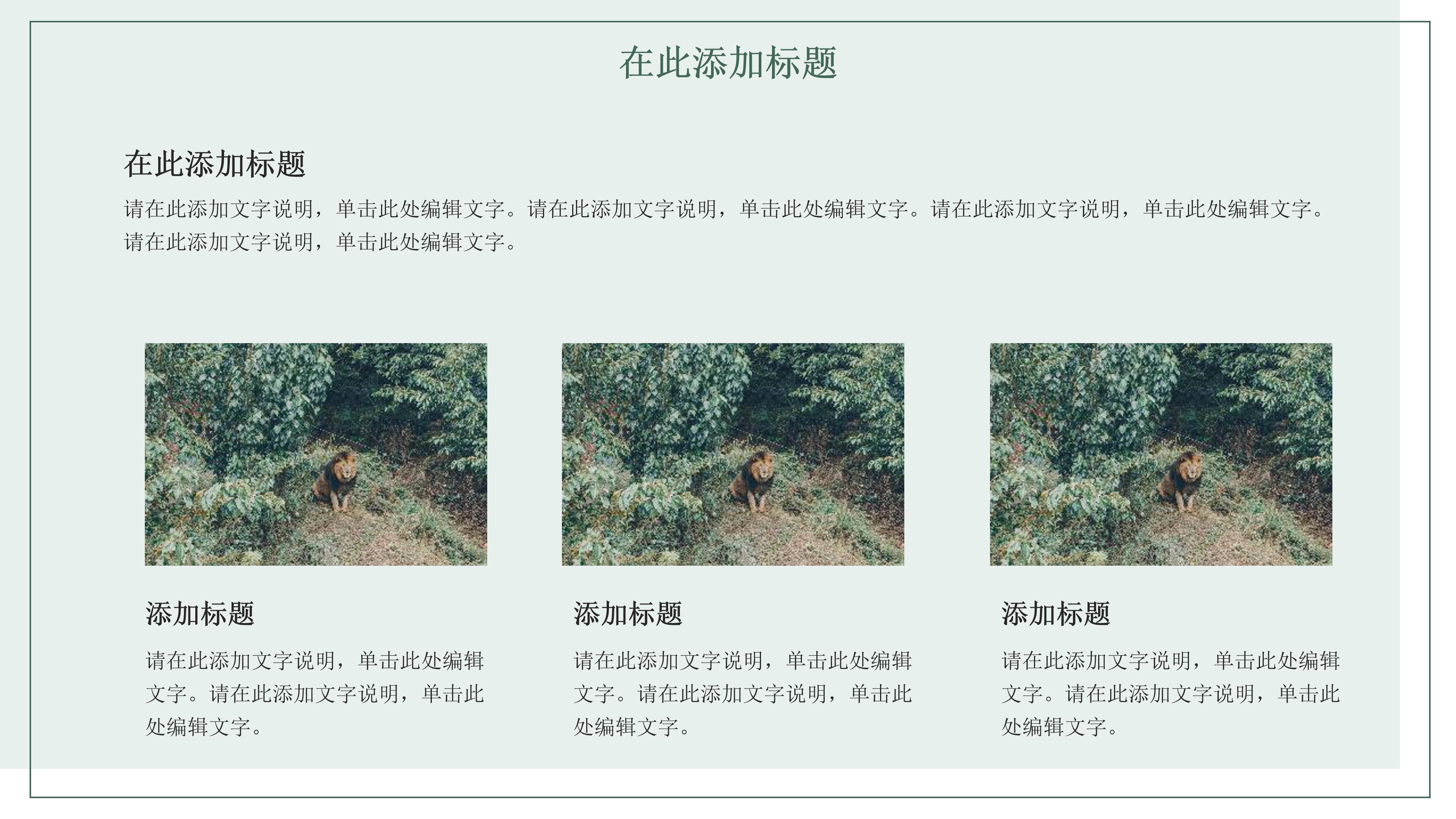 清新实拍树林背景暑假夏令营活动计划书PPT模板