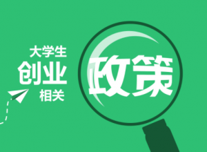 大学生创业政策计划书PPT模板