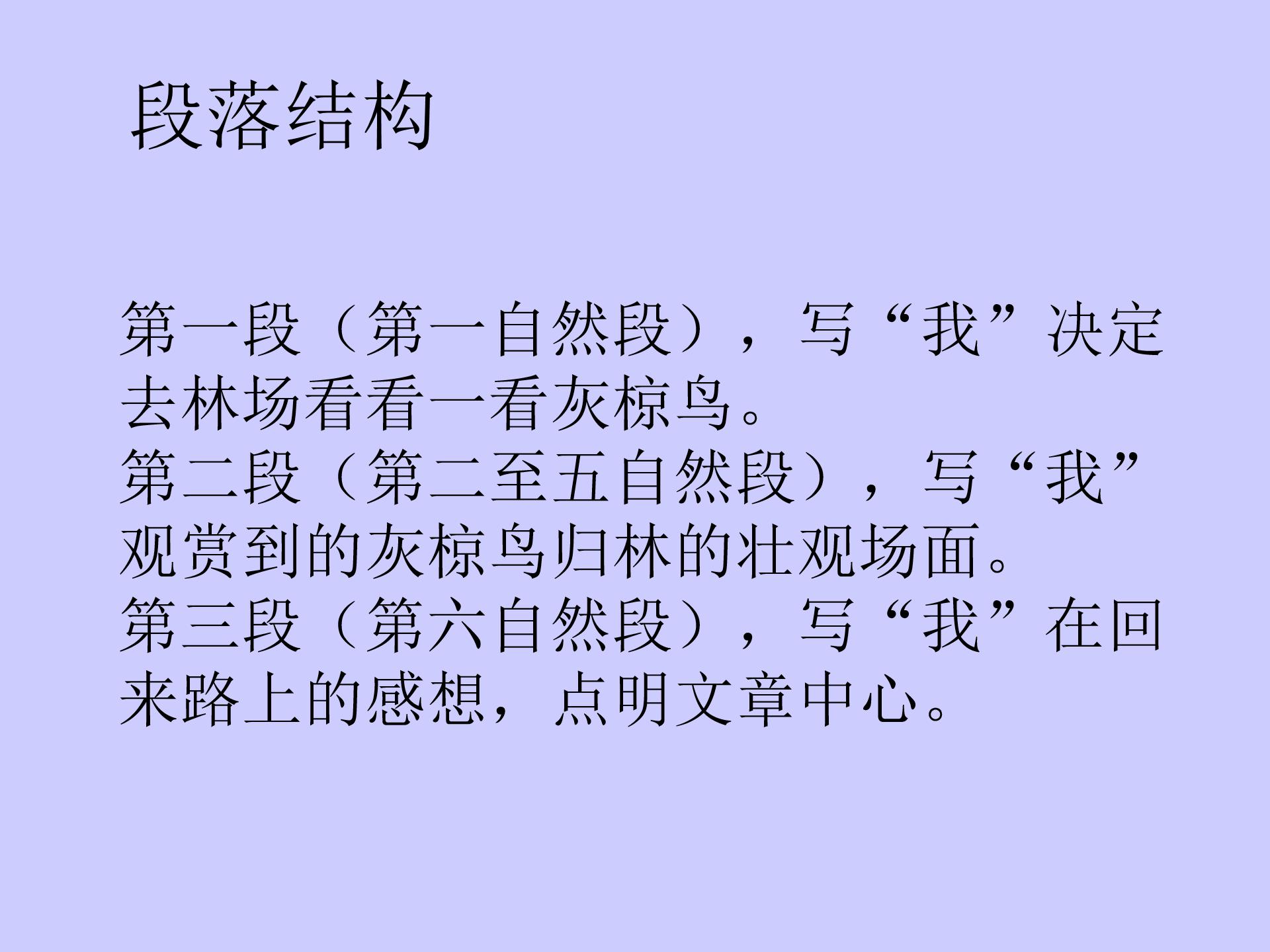 灰椋鸟ppt模板