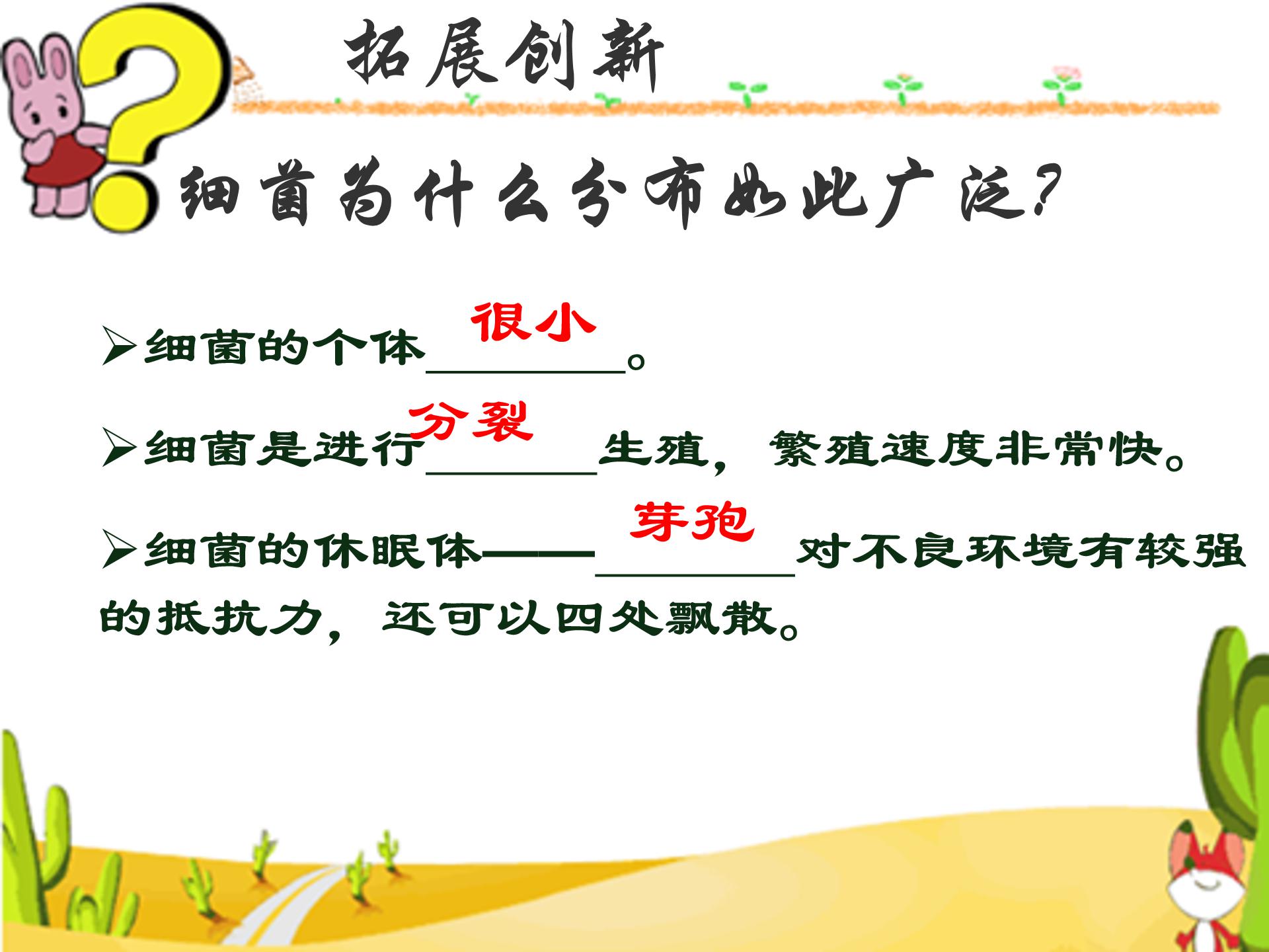 细菌课件人教版ppt模板