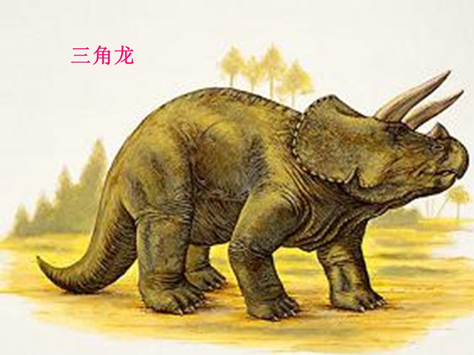 恐龙的灭绝ppt课件模板