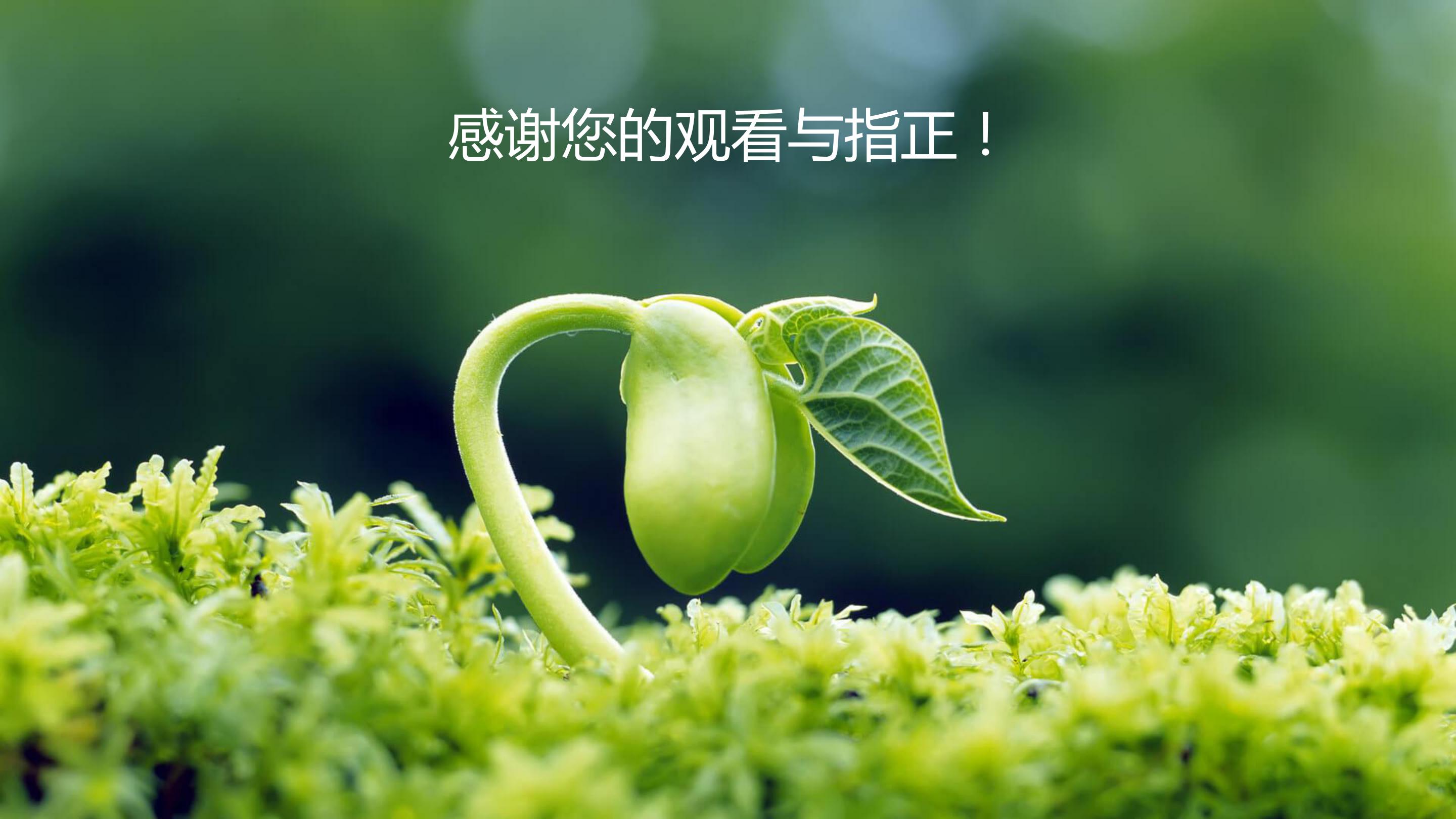 医疗器械市场调研ppt模板
