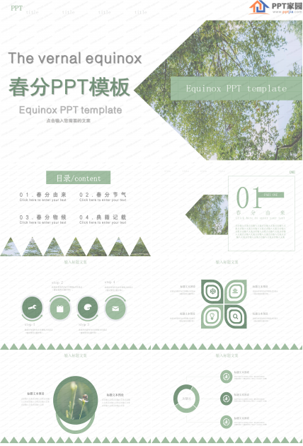 时尚绿色二十四节气春分介绍ppt模板