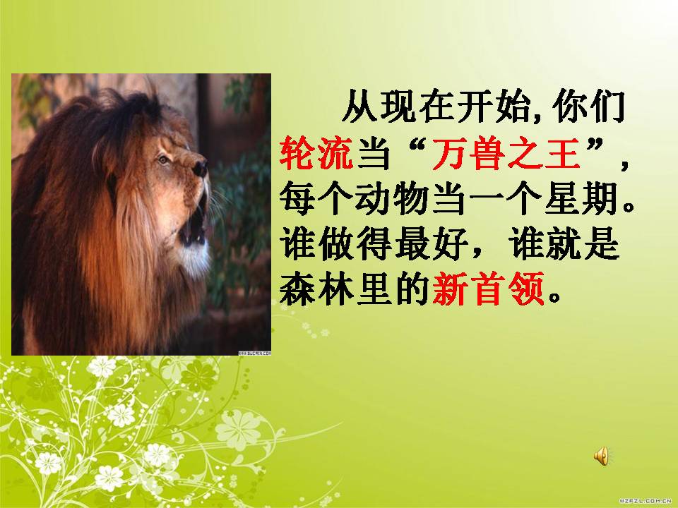 ppt课件从现在开始
