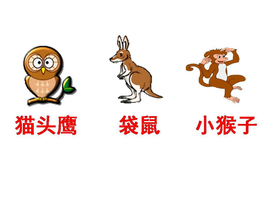 ppt课件从现在开始