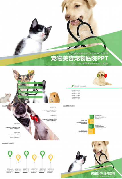 关于宠物介绍的ppt模板