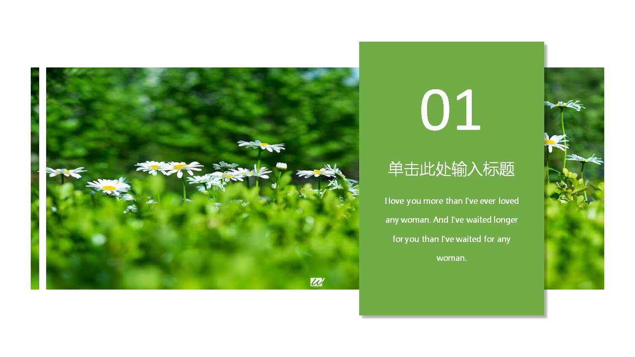 生命与自然讲座ppt模板