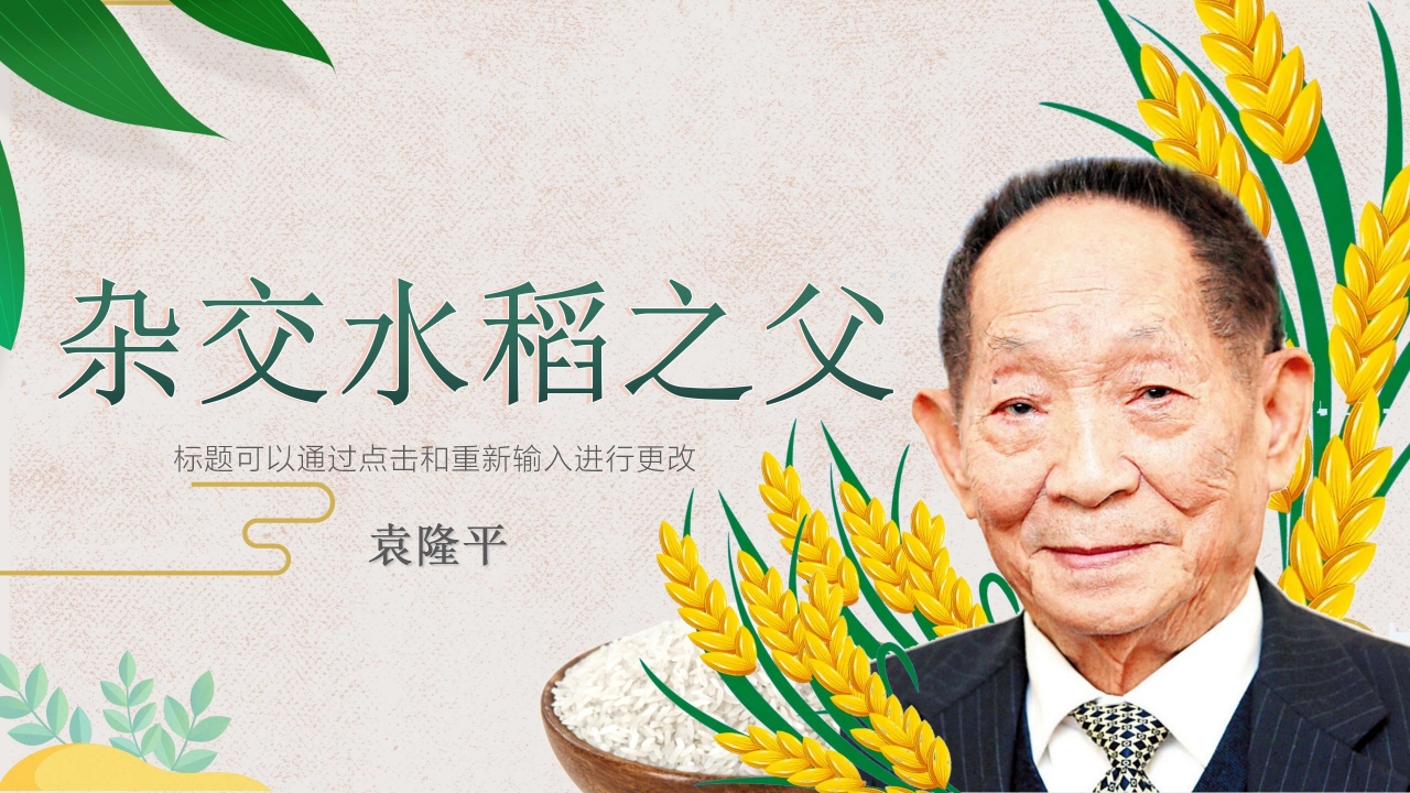 杂交水稻之父袁隆平ppt课件模板