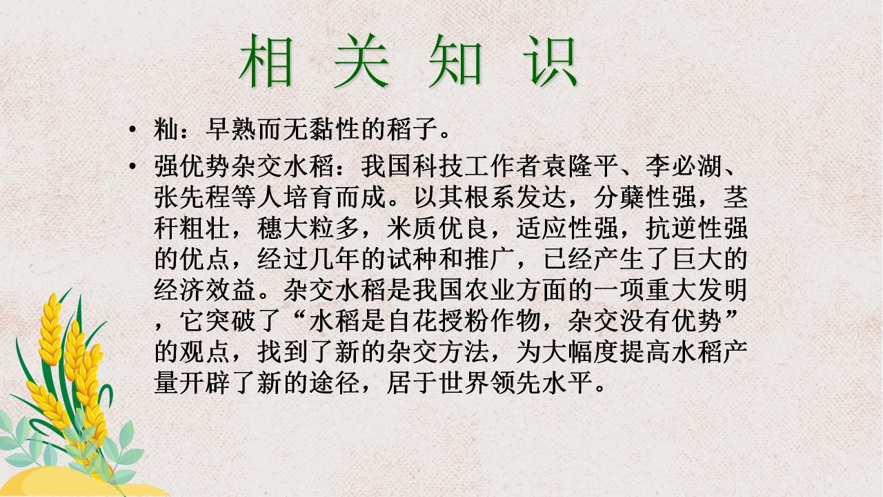 杂交水稻之父袁隆平ppt课件模板
