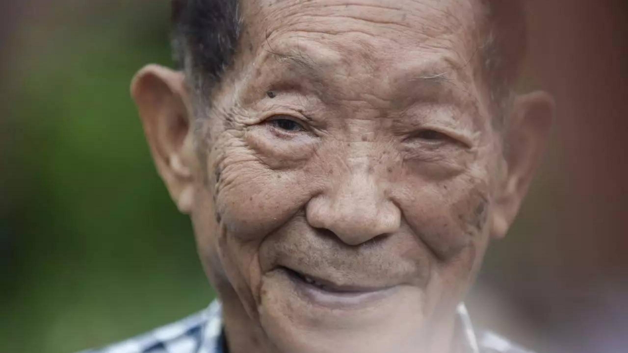 杂交水稻之父袁隆平ppt课件模板