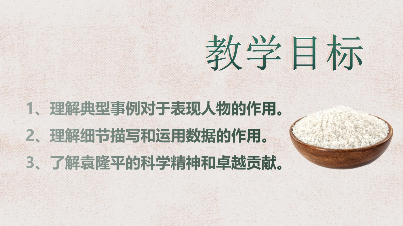 杂交水稻之父袁隆平ppt课件模板
