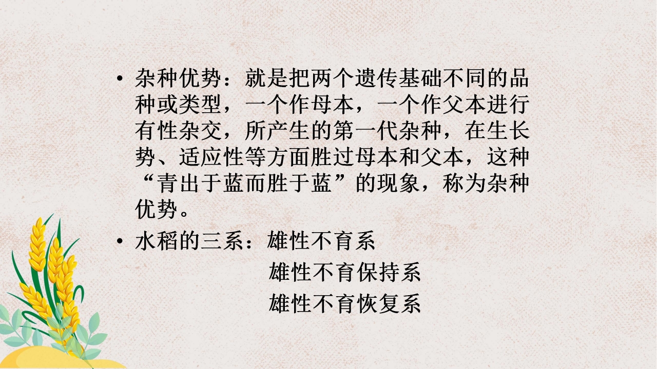 杂交水稻之父袁隆平ppt课件模板