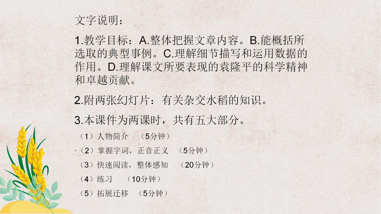 杂交水稻之父袁隆平ppt课件模板