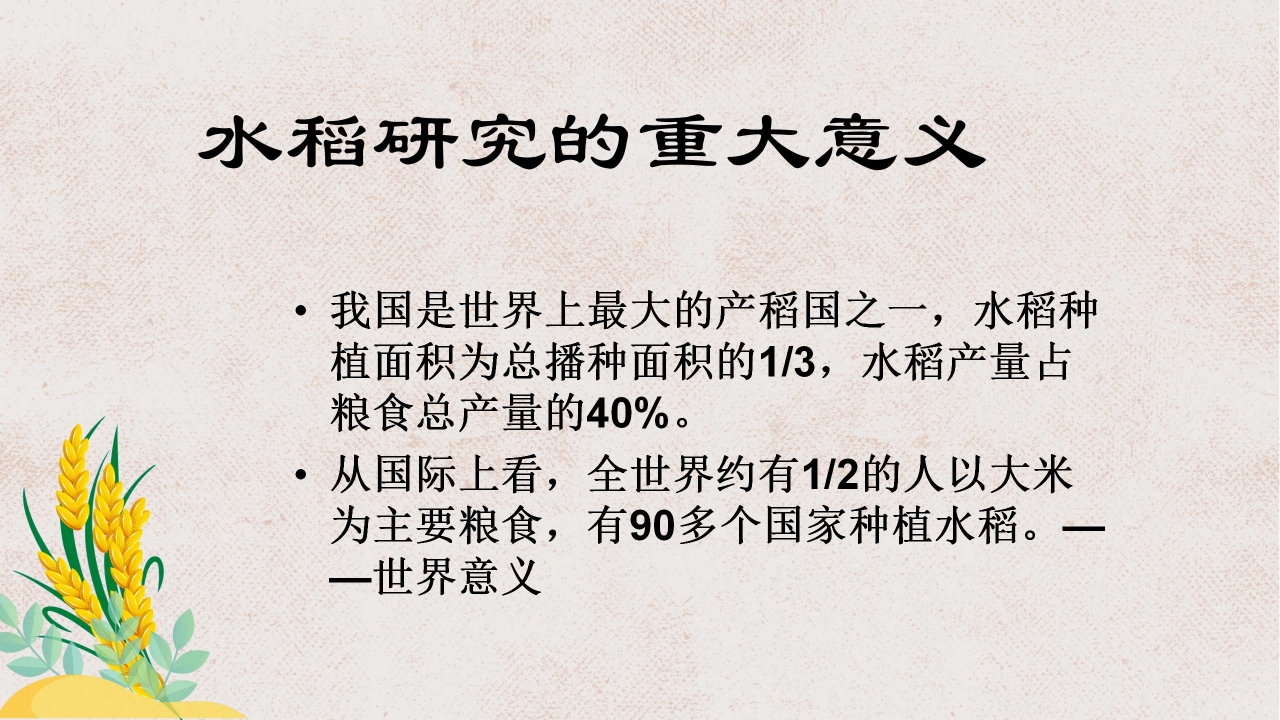 杂交水稻之父袁隆平ppt课件模板
