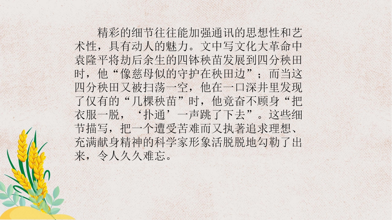 杂交水稻之父袁隆平ppt课件模板