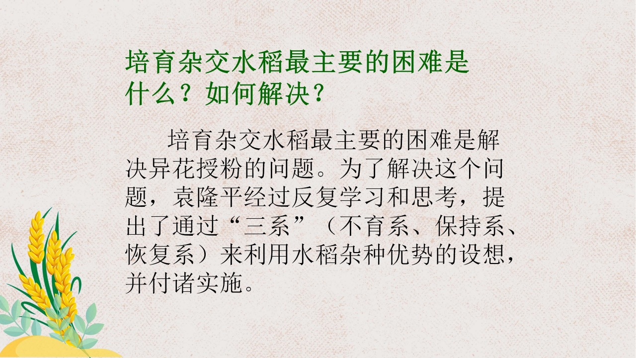 杂交水稻之父袁隆平ppt课件模板