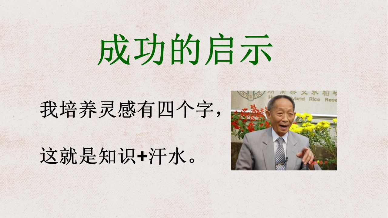 杂交水稻之父袁隆平ppt课件模板
