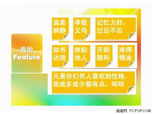 一个女软件工程师充满创意的征友 PPT 