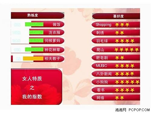 一个女软件工程师充满创意的征友 PPT 