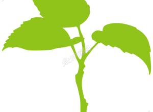 手绘清新萌芽的小树植物素材下载推荐