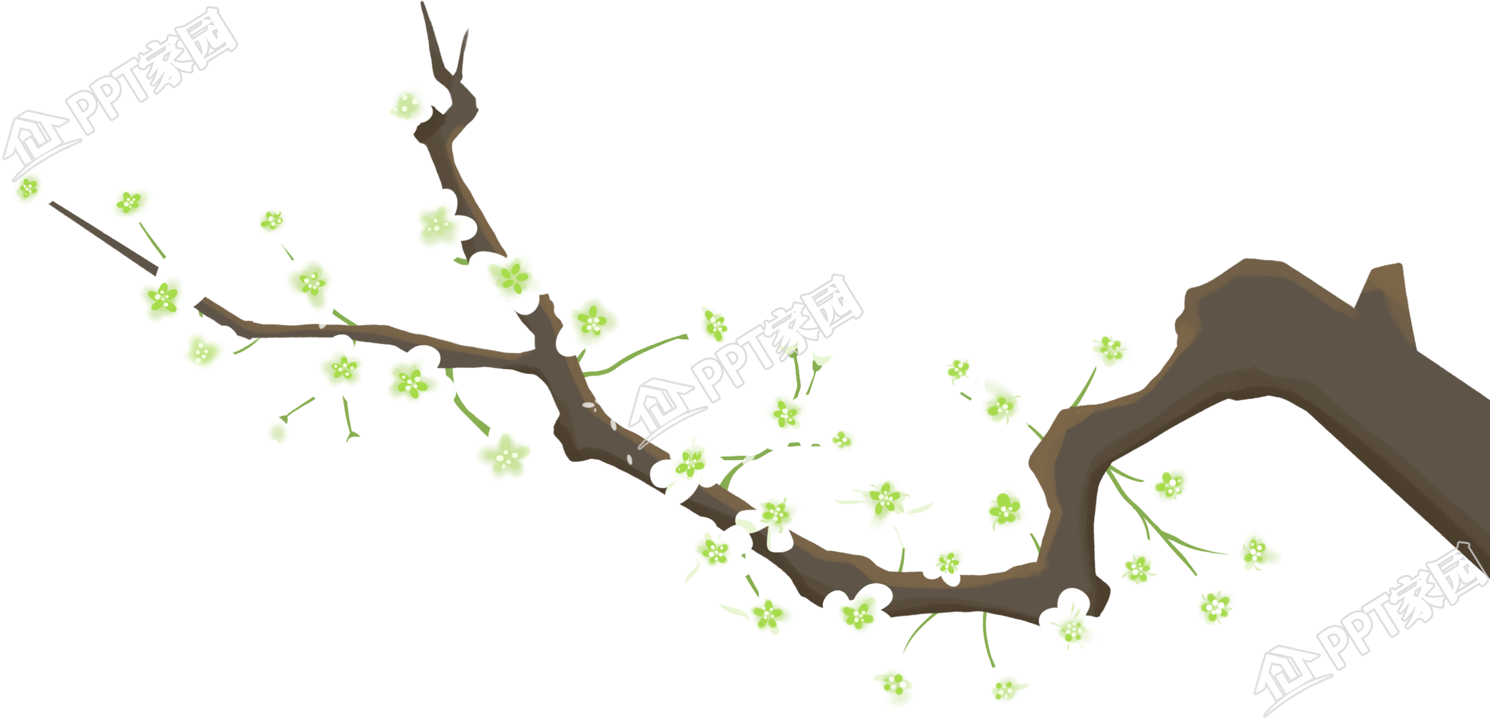 手绘春季白色花枝图片免抠素材
