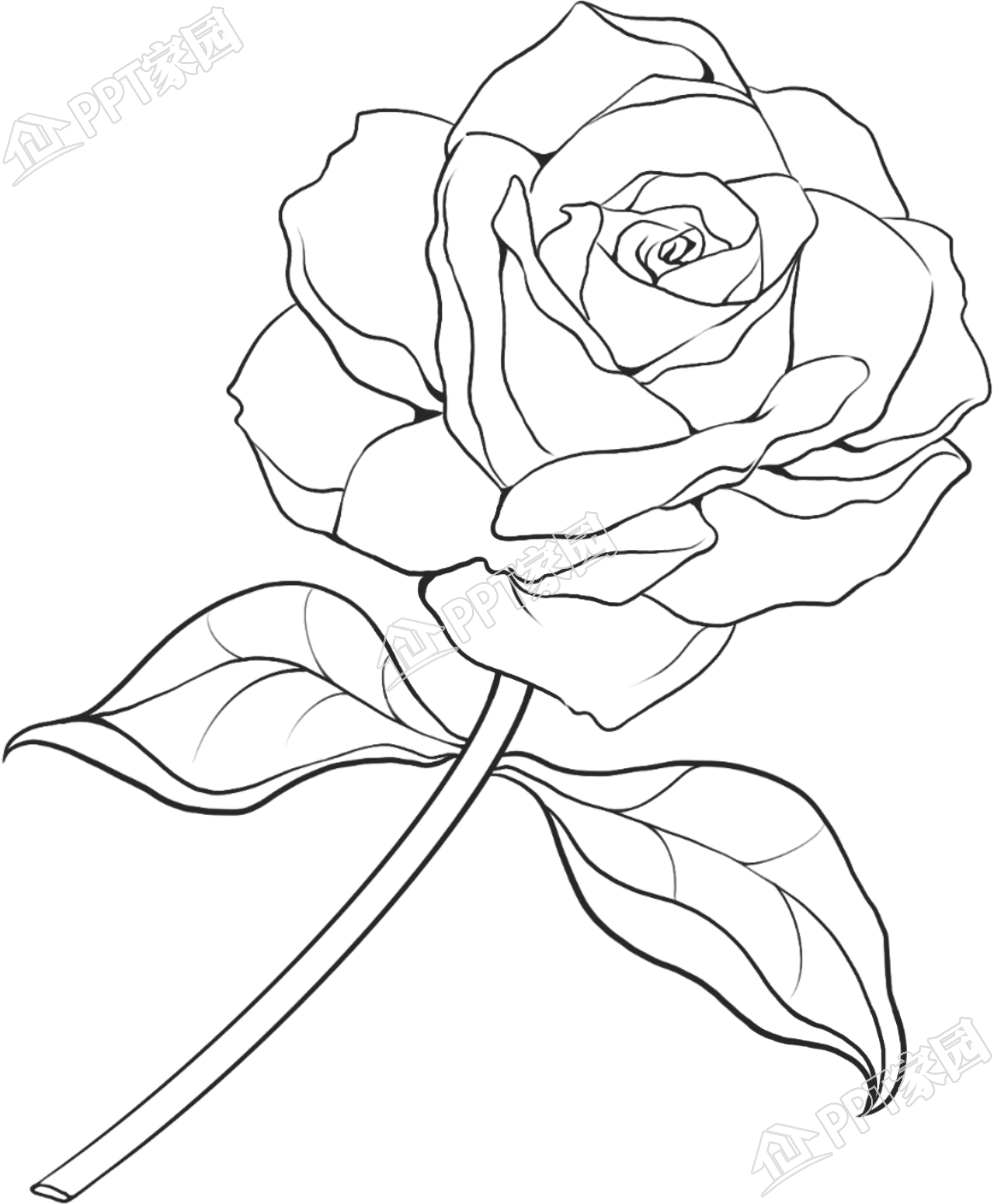 玫瑰简单黑色线条图片卡通手绘免抠素材