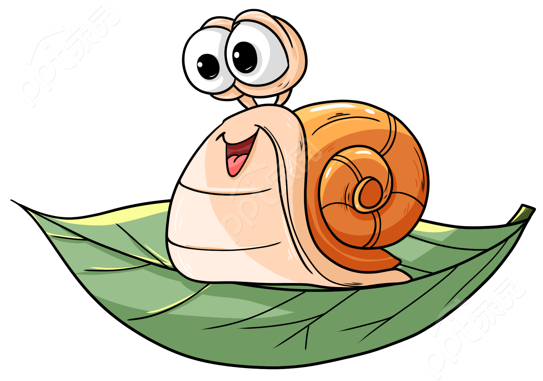 卡通手绘夏季叶子上的蜗牛矢量图片素材