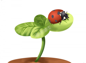 卡通手绘趴在植物上的七星瓢虫素材下载推荐