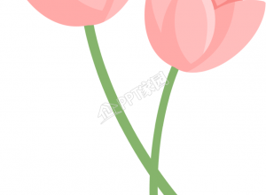 粉色两朵花图片卡通手绘免抠素材下载推荐