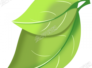 清新唯美绿色叶子图片装饰图案免抠素材下载推荐