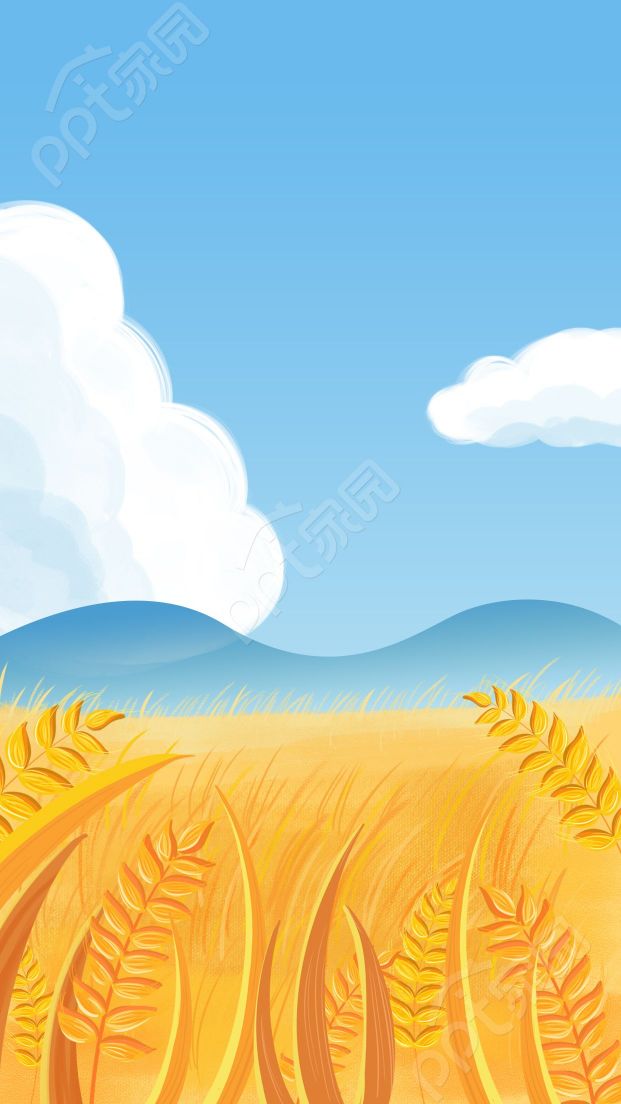 卡通手繪豐收活動宣傳介紹藍天稻田背景圖片素材