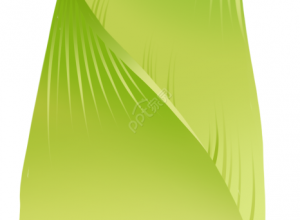 卡通手绘绿色春笋植物透明底免抠图片素材下载推荐