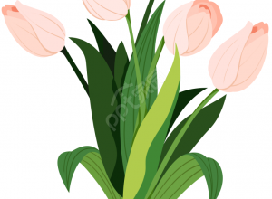 卡通手绘装饰植物郁金香花卉矢量图片素材下载推荐